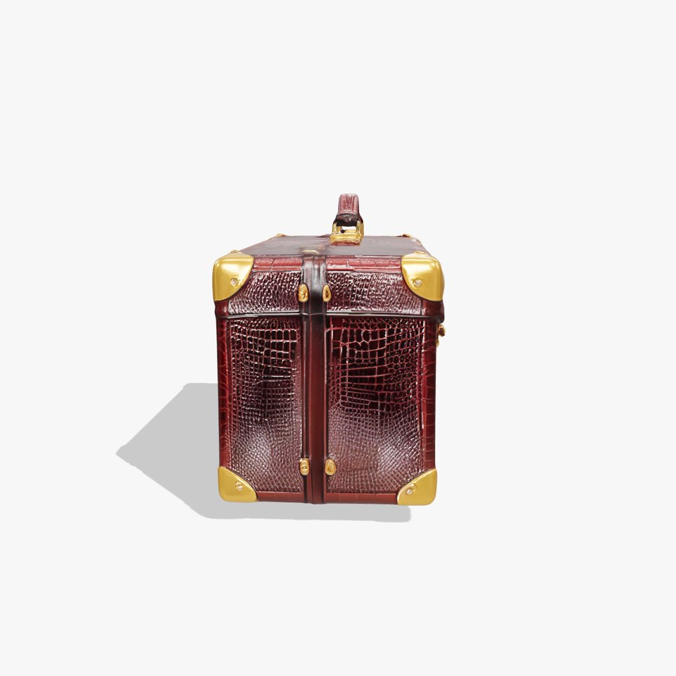 Luxurious Leather Suitcase Model Pack